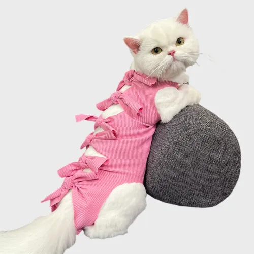 Pet Clothing