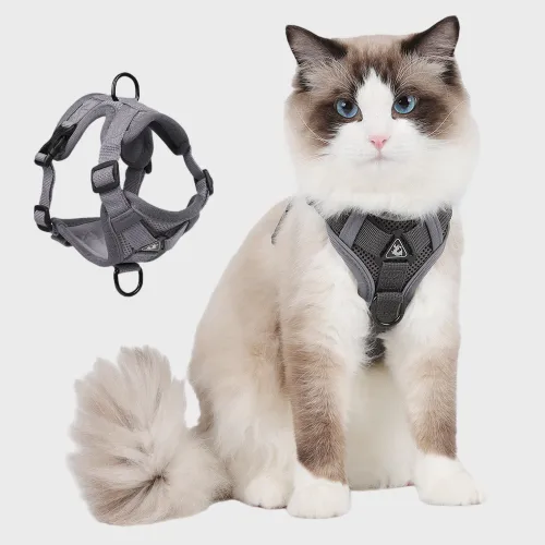 Pet Supplies