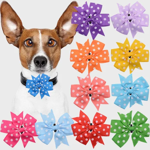 Pet Accessories