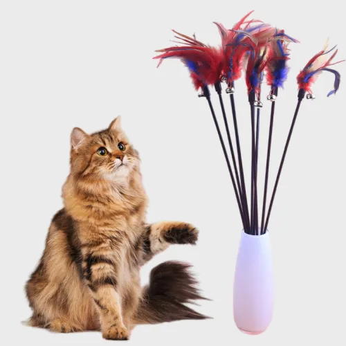 Jouets Pour Animaux