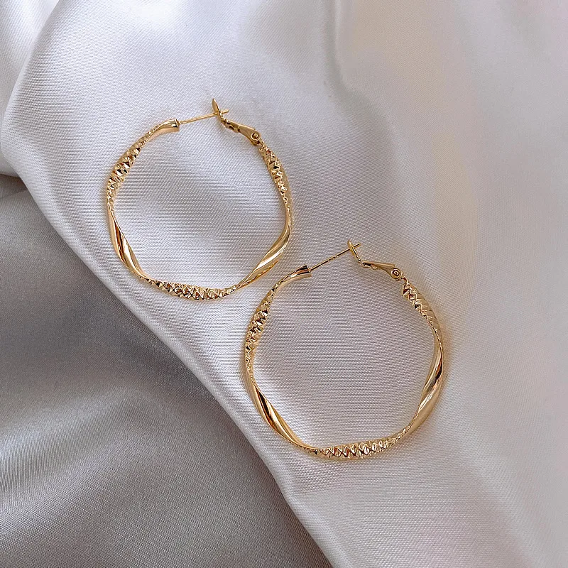 Geometric Fashion Alloy Twist Hoop Earrings display picture 2