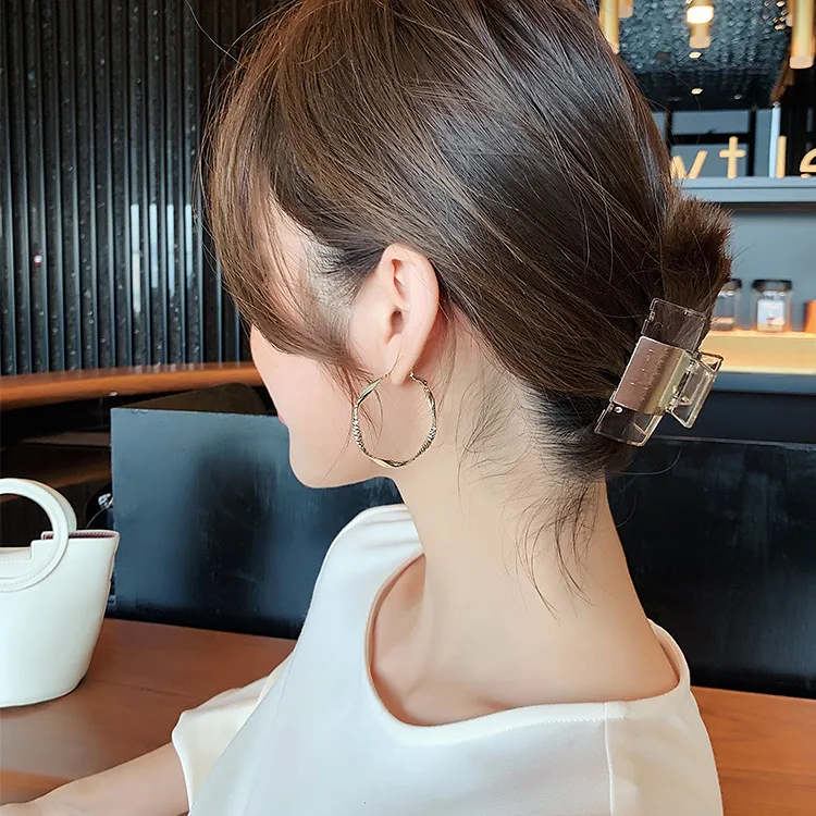 Geometric Fashion Alloy Twist Hoop Earrings display picture 3