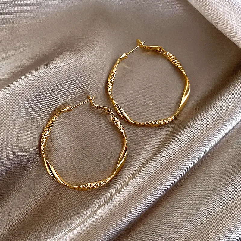 Geometric Fashion Alloy Twist Hoop Earrings display picture 4