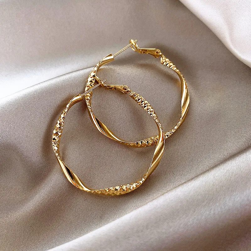 Geometric Fashion Alloy Twist Hoop Earrings display picture 6