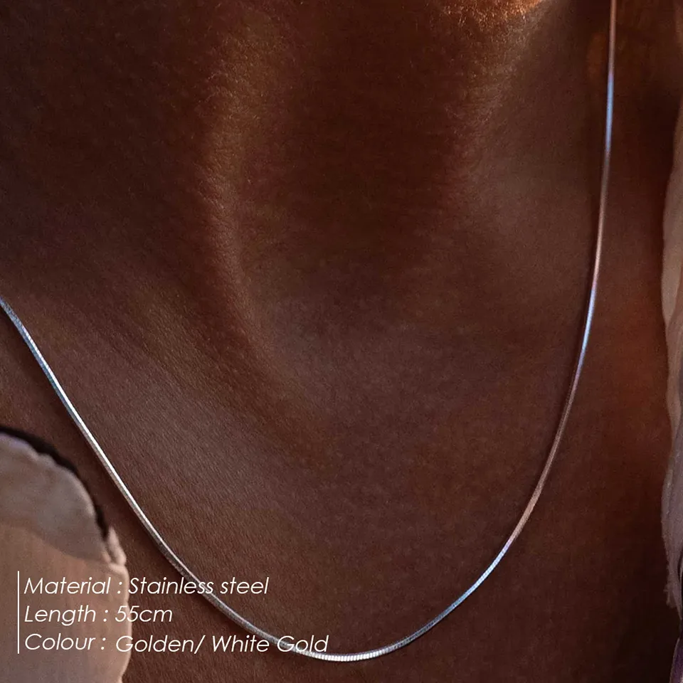 Couleur Unie Hip Hop Roche Style Simple Plaqué Or 18K Or Blanc Plaqué Acier Inoxydable 304 Collier De Gros display picture 6