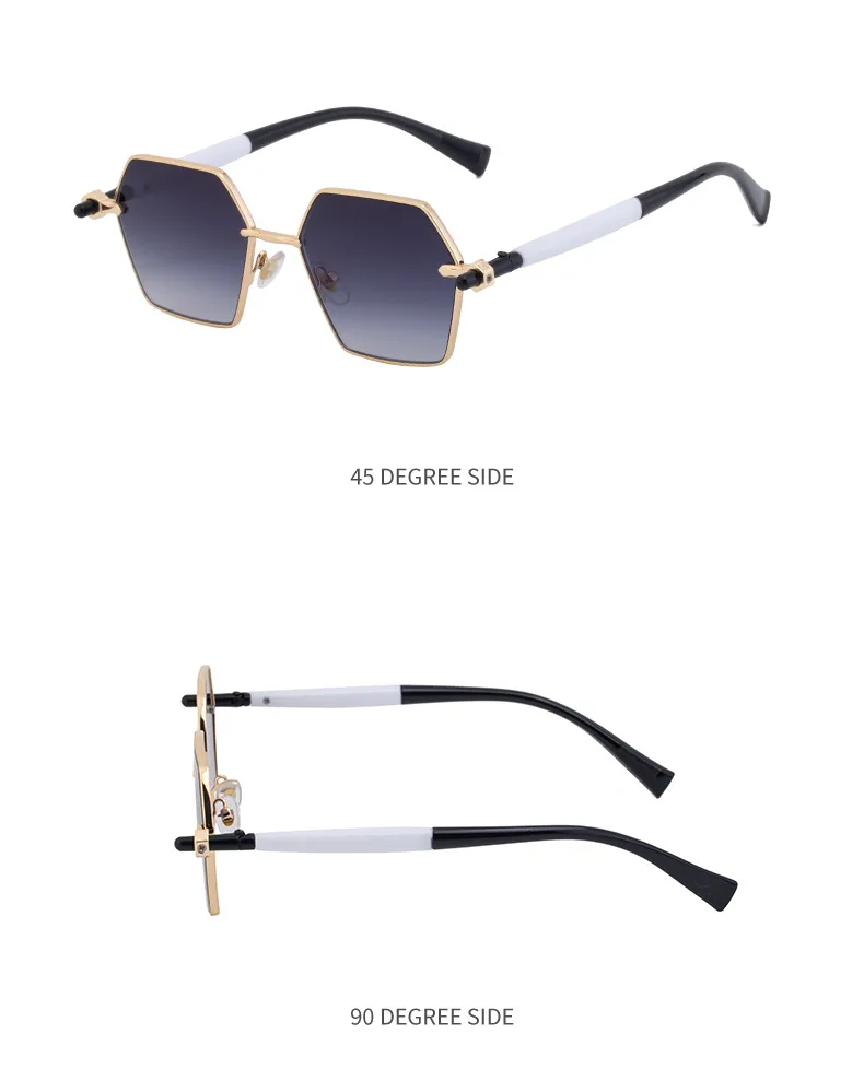 Polygon Modern Style Classic Style Geometric Pc Full Frame Men's Sunglasses display picture 15