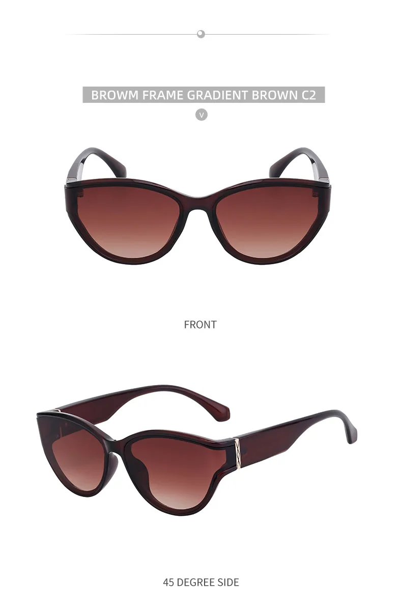 Cat Eye Classic Style Geometric Pc Full Frame Women's Sunglasses display picture 9