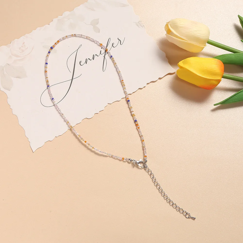 New Style Sweet Dopamine Small Rice-Shaped Beads Beaded Necklace Girly Style Rainbow Color Glass Beads Necklace Wholesale Women display picture 8