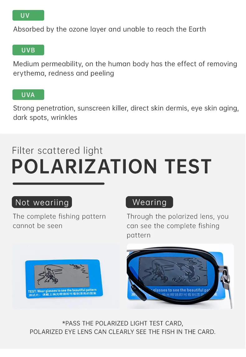 Gafas De Sapo Retro Estilo Clásico Geométrico Tac Fotograma Completo Gafas De Sol Hombre display picture 6