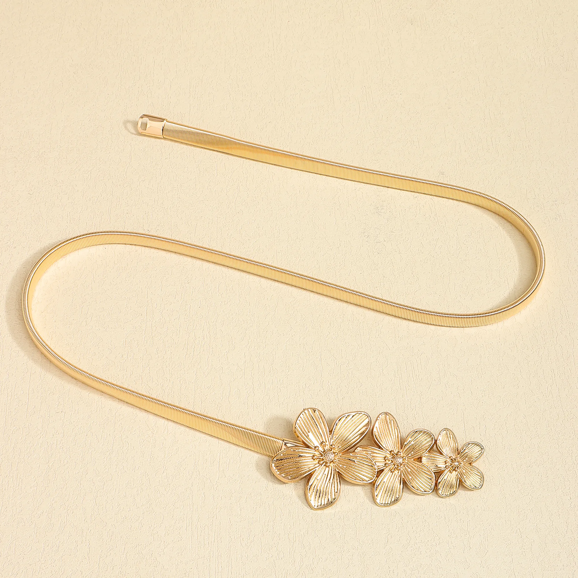 Femmes Élégant Rétro Style Vintage Alliage Alliage Boucle Chaîne Ceintures display picture 5