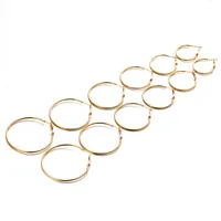Retro Geometric Plating Iron Hoop Earrings main image 5