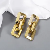 Fashion Exaggerated Trend Cold Wind Metal Texture Chain Earrings main image 2