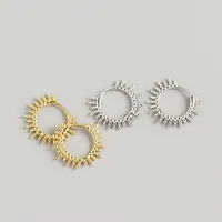 1 Pair Geometric Fashion 925 Sterling Silver Plating Earrings main image 1