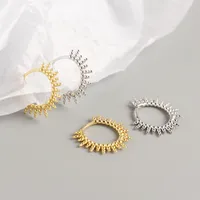 1 Pair Geometric Fashion 925 Sterling Silver Plating Earrings main image 4
