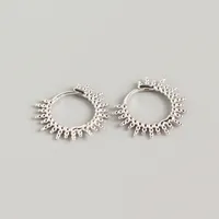 1 Pair Geometric Fashion 925 Sterling Silver Plating Earrings sku image 1