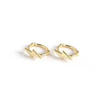Lightning Casual Simple Style Commute 925 Sterling Silver No Inlaid Plating Earrings Ear Studs main image 5