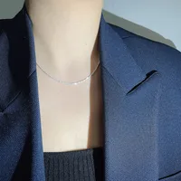 Geometric Casual Luxurious Korean Style 925 Sterling Silver Long Necklace Necklace Choker Wholesale main image 2