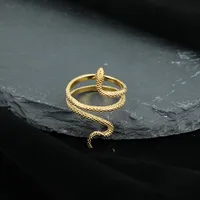 Rétro Acier Inoxydable 304 Animal Serpent Placage Unisexe Anneaux main image 2