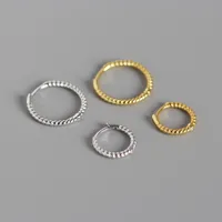 Geometric Casual Simple Style Commute 925 Sterling Silver No Inlaid Plating Earrings main image 5