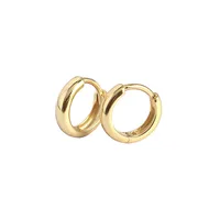 Fashion Geometric Plating No Inlaid Earrings main image 1