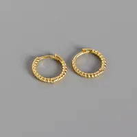 Geometric Casual Simple Style Commute 925 Sterling Silver No Inlaid Plating Earrings sku image 2