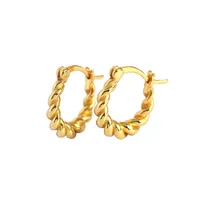 Geométrico Moda Sin Incrustaciones Enchapado Pendientes main image 1