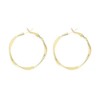 Geometric Fashion Alloy Twist Hoop Earrings main image 2