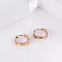 1 Piece Geometric Simple Style 304 Stainless Steel Plating Earrings main image 3