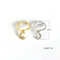 Moon Fashion 925 Sterling Silver Gem Plating Earrings main image 1