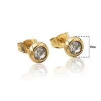 1 Paire Rond Style Simple Acier Inoxydable Zircon Incruster Boucles D'Oreilles main image 2