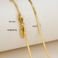 Wholesale Jewelry Solid Color Basic Simple Style 304 Stainless Steel 18K Gold Plated Necklace sku image 5