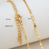 Wholesale Jewelry Solid Color Basic Simple Style 304 Stainless Steel 18K Gold Plated Necklace sku image 17