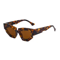Cat Eye Streetwear Geometric Pc Full Frame Women's Sunglasses sku image 1