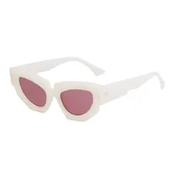 Cat Eye Streetwear Geometric Pc Full Frame Women's Sunglasses sku image 5