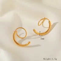 1 Par Color Sólido Estilo Simple Acero Inoxidable 304 Chapados En Oro De 18K Irregular Pendientes main image 5