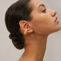 1 Paire Des Écailles De Poisson Style IG Style Moderne Acier Inoxydable 304 Plaqué Or 18K Clips D'oreille main image 3