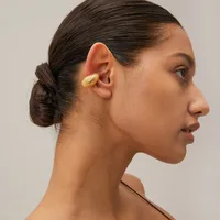 1 Par Escamas De Pescado Estilo IG Estilo Moderno Acero Inoxidable 304 Chapados en oro de 18k Puños De Oreja main image 4