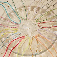 New Style Sweet Dopamine Small Rice-Shaped Beads Beaded Necklace Girly Style Rainbow Color Glass Beads Necklace Wholesale Women main image 1