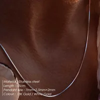 Solid Color Hip-Hop Rock Simple Style 18K Gold Plated White Gold Plated 304 Stainless Steel Necklace Wholesale main image 2