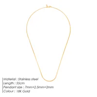 Solid Color Hip-Hop Rock Simple Style 18K Gold Plated White Gold Plated 304 Stainless Steel Necklace Wholesale sku image 1