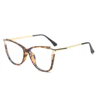 Oeil De Chat De Base Bloc De Couleur Pc Plein Cadre Optique Lunettes main image 3