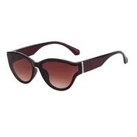 Cat Eye Classic Style Geometric Pc Full Frame Women's Sunglasses sku image 2