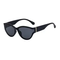 Cat Eye Classic Style Geometric Pc Full Frame Women's Sunglasses main image 5