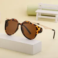 Special-Shaped Mirror Streetwear Geometric Pc Full Frame Women's Sunglasses main image 2