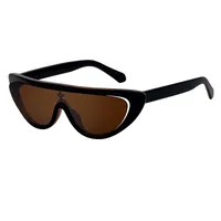 Cat Eye Streetwear Geometric Pc Full Frame Women's Sunglasses sku image 4
