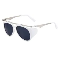 Special-Shaped Mirror Streetwear Geometric Pc Full Frame Women's Sunglasses sku image 11