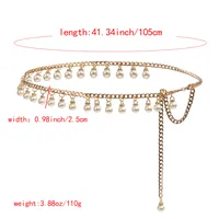 Femmes Entreprise Style Vintage Style Simple Zinc Zinc Chaîne Ceintures main image 2