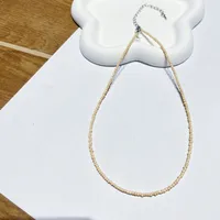 New Style Sweet Dopamine Small Rice-Shaped Beads Beaded Necklace Girly Style Rainbow Color Glass Beads Necklace Wholesale Women sku image 39