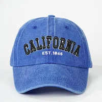 Unisexo Palabras Del Vocabulario/Nombre Aleros Curvos Bordado Casual Estilo Simple Ropa De Calle Gorra De Beisbol main image 4