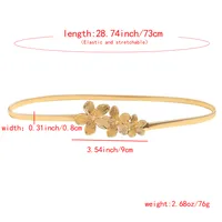 Femmes Élégant Rétro Style Vintage Alliage Alliage Boucle Chaîne Ceintures main image 2